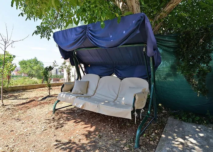 Dino 1374 Pula